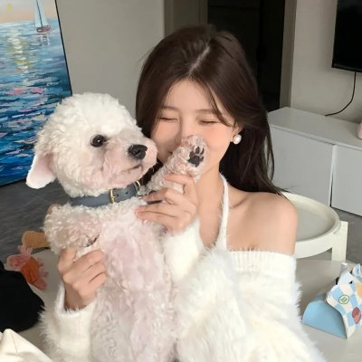 厨神小当家第二季